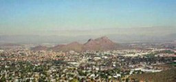 Beautiful Phoenix?