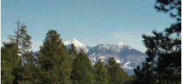 Mt. Humphreys