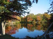 Trout Pond