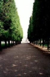 Les Jardins du Luxembourg